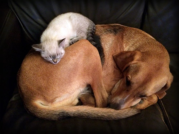 Gaston & Pépette